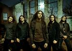 Shadows Fall Picture